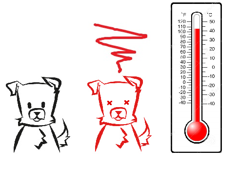 Temperature chien